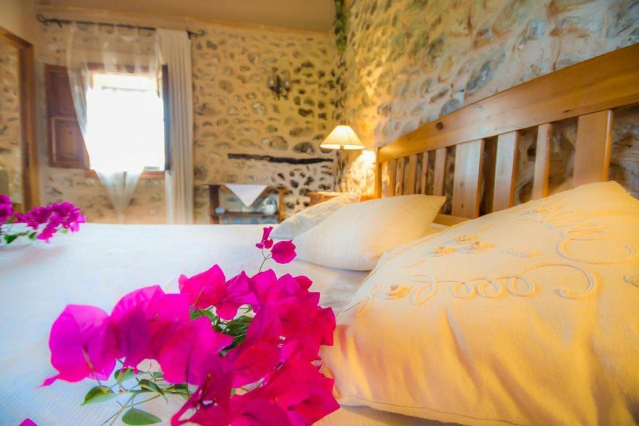 Country house Ideal Mallorca - Nyany Buger
